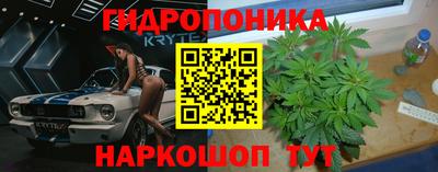 хмурый Новозыбков