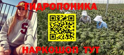 дживик Новодвинск