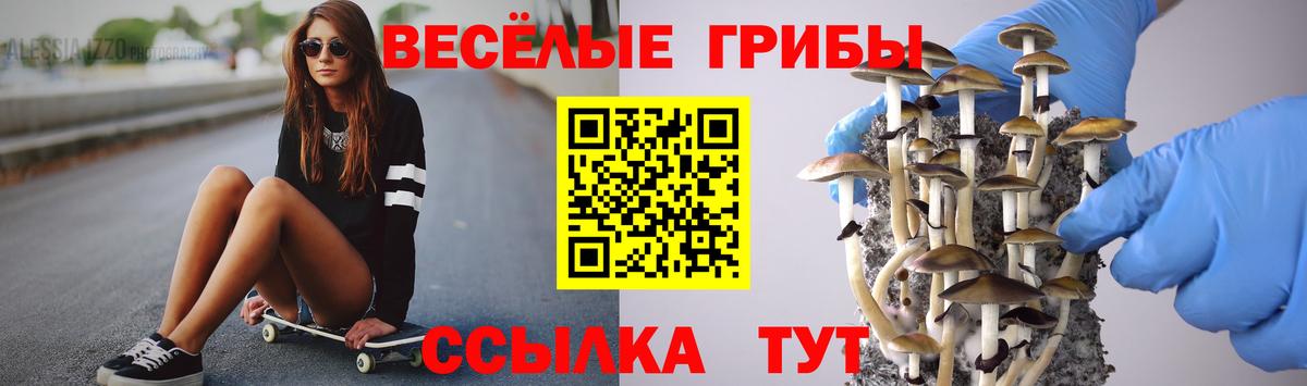Галлюциногенные грибы Magic Shrooms Серпухов